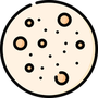 Pane